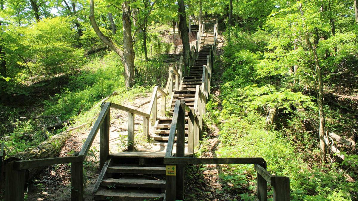 Mount Tom Stairs Indiana Dunes State Park