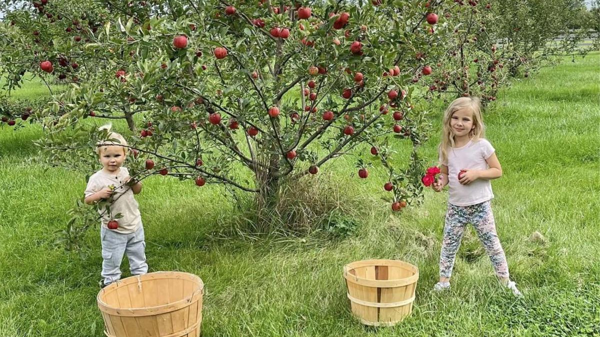 Apple Blossom Trails