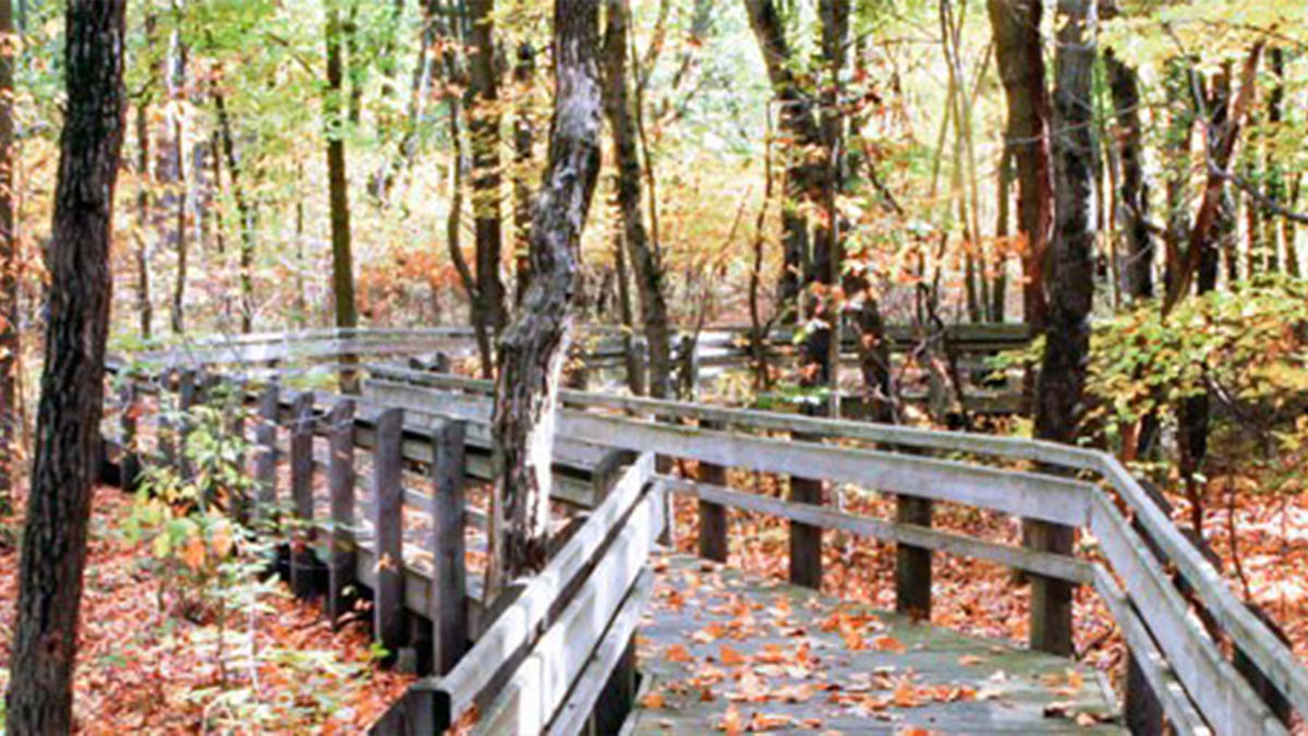 Calumet Dunes Trail - Indiana Dunes National Park