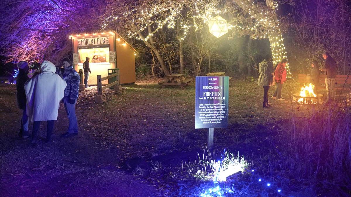 Fair Oaks Farms Forest of Lights
