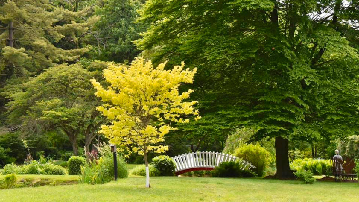 Friendship Gardens bridge