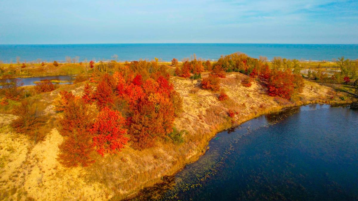 Indiana Dunes fall aerial shot