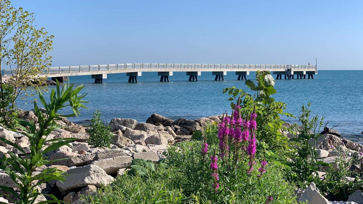 Bridge by Hammond Marina - Marianne Lee