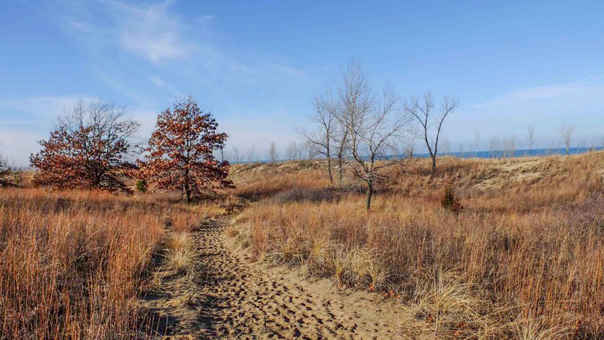 Miller Woods Beach