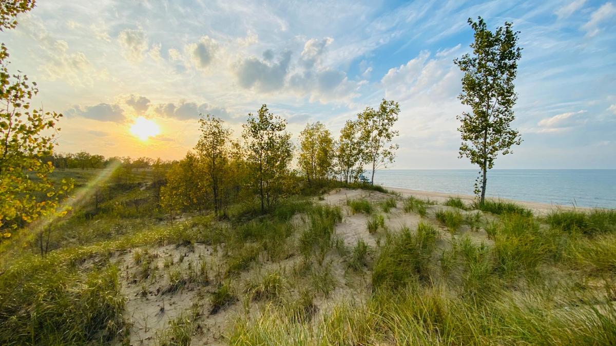Miller Woods Beach Indiana Dunes