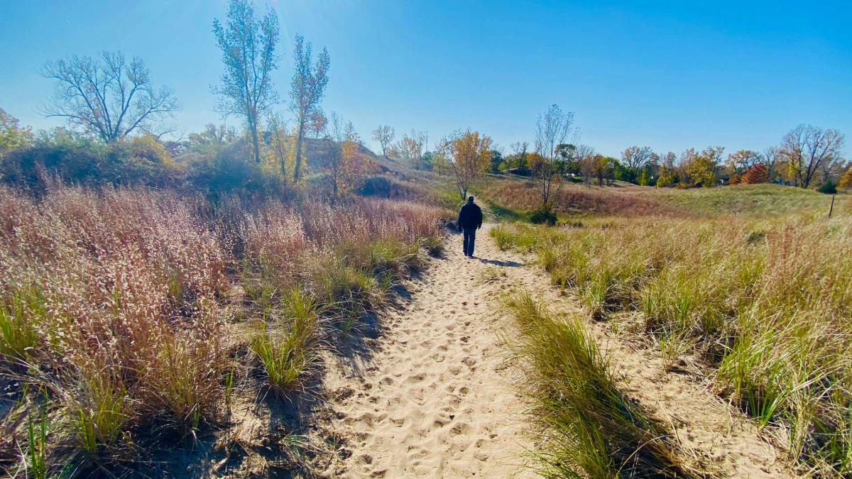 Miller trail to Miller Woods Beach