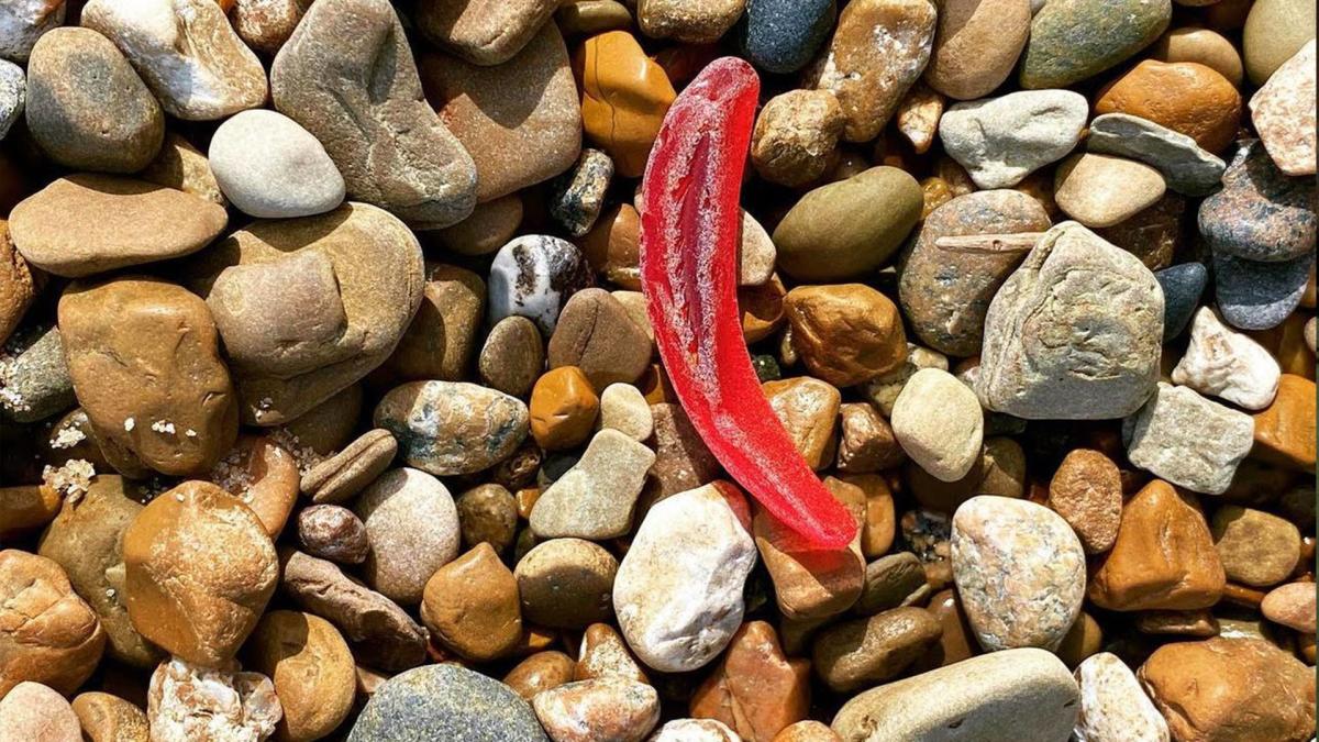 Red beach glass in rocks by Charlotte Hernandez