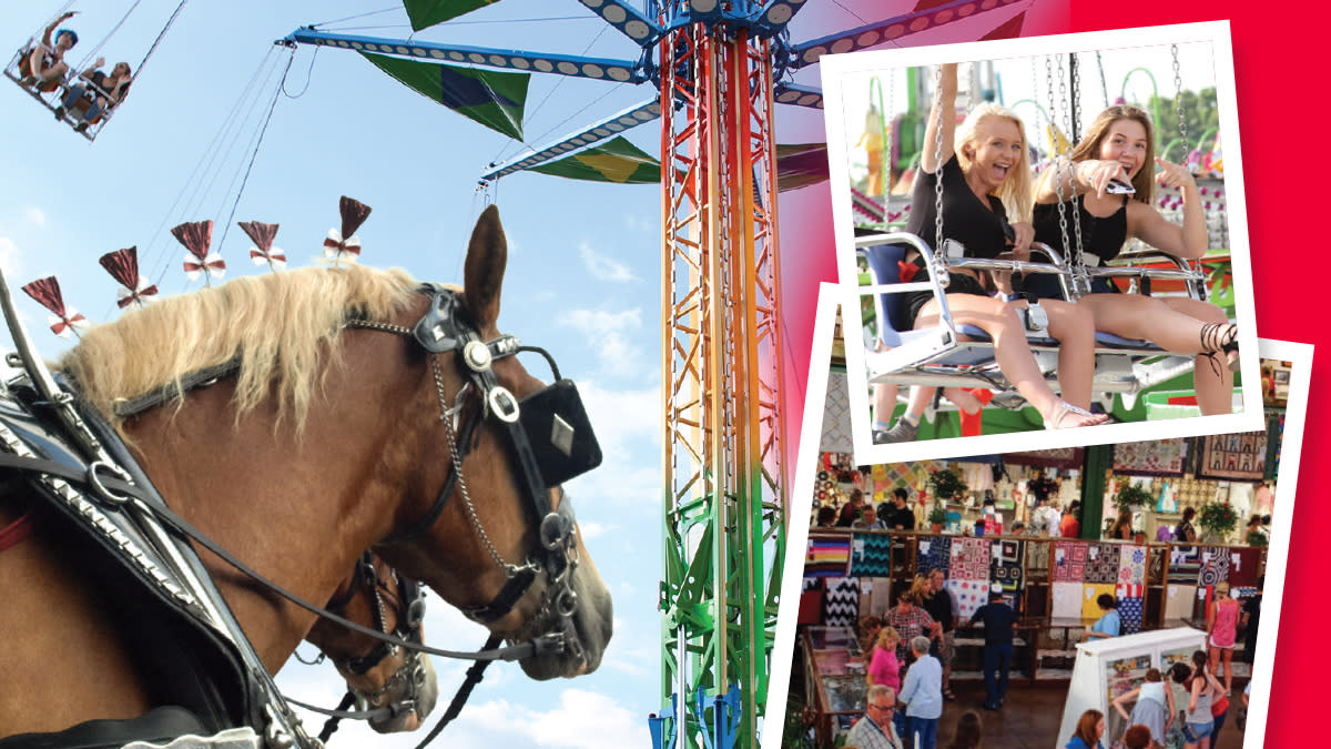 Summer Events Lake County Fair