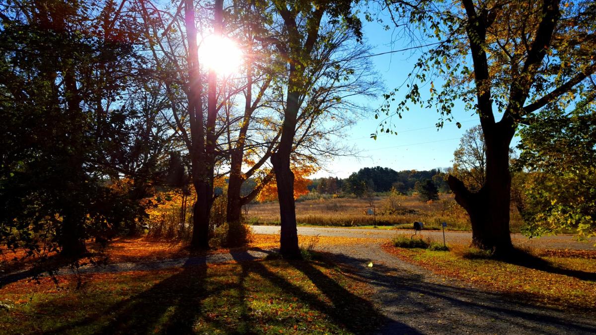 Looking for a cozy secluded retreat? Don't miss the beautiful Artha Sustainable Living Center, sitting on a lush 55 acres of rolling hills, woods and open fields in central Wisconsin.