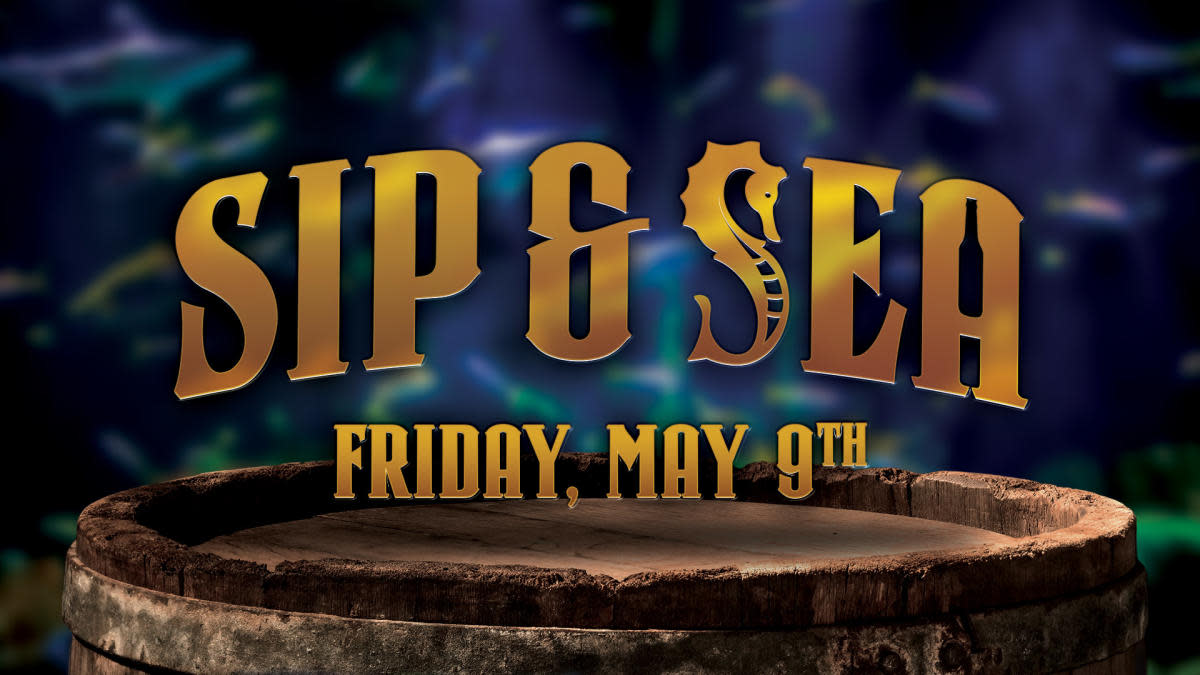Sip & Sea