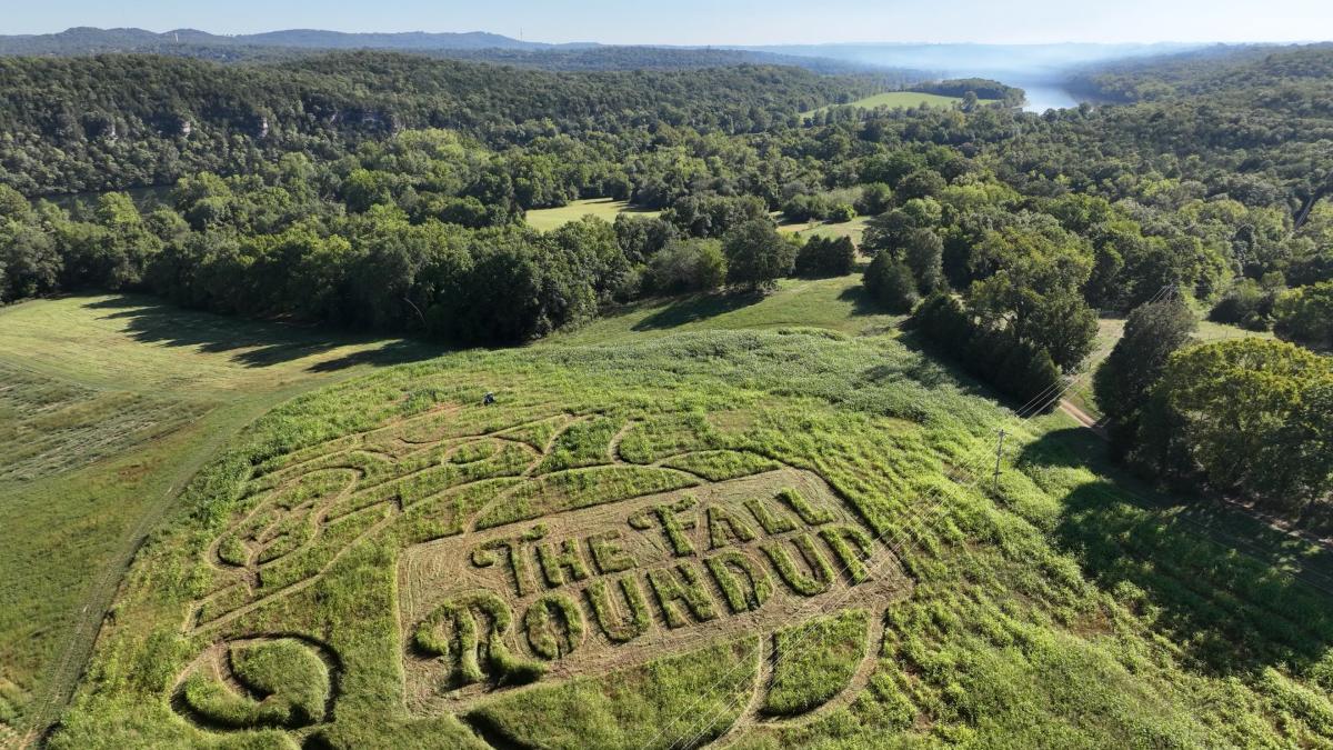 Sycamore Creek Maze