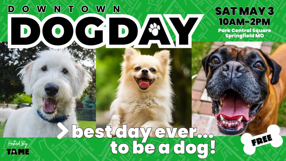 Springfield, Missouri Downtown Dog Day