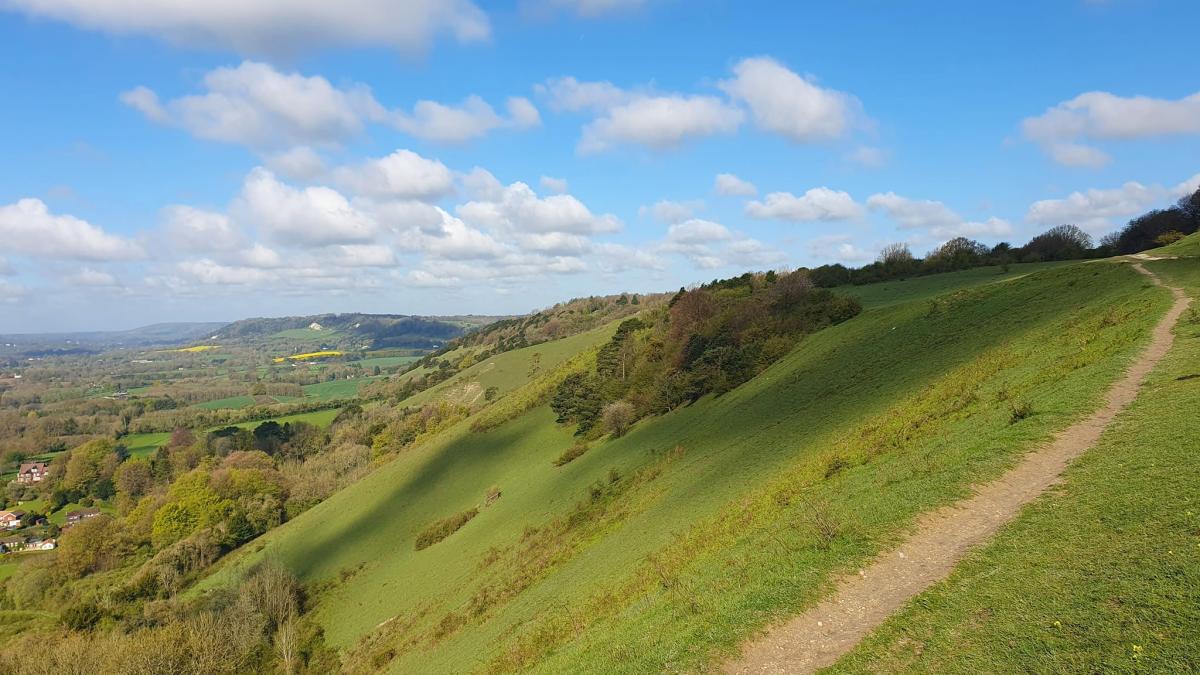 A view across the Surrey Hills from Reigate - credit Matthew Williams