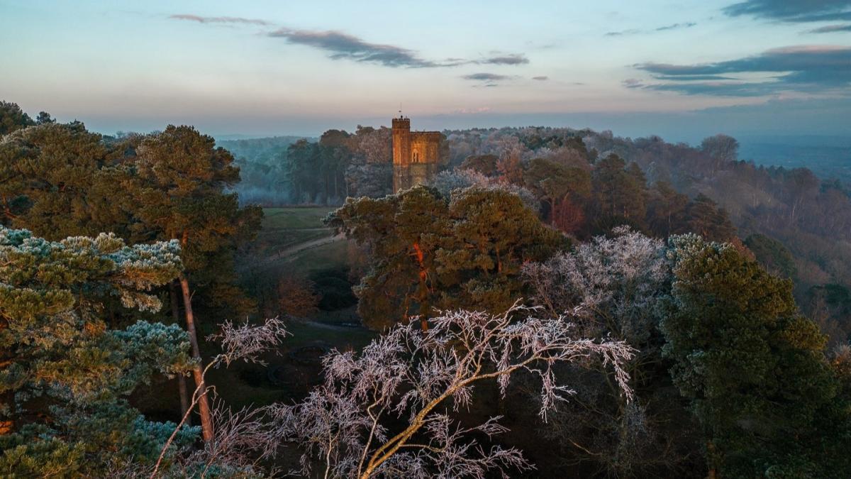 Leith Hill tower in the frost