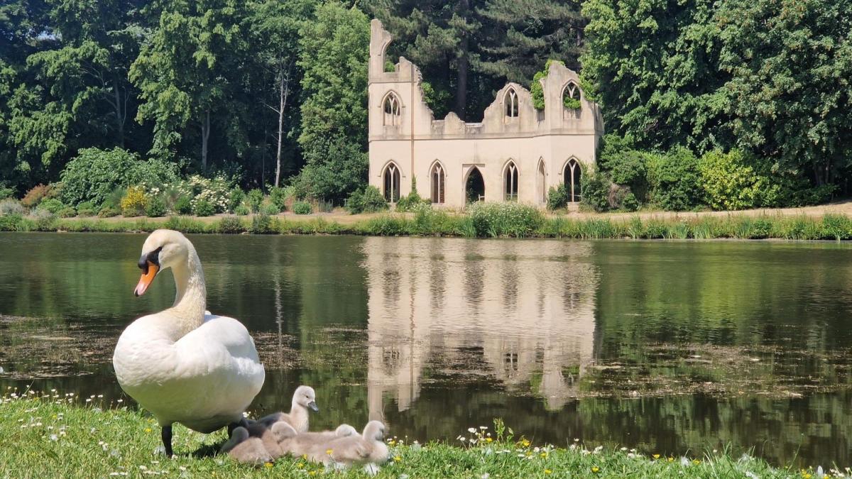 View of the Ruined Abbey at Painshill