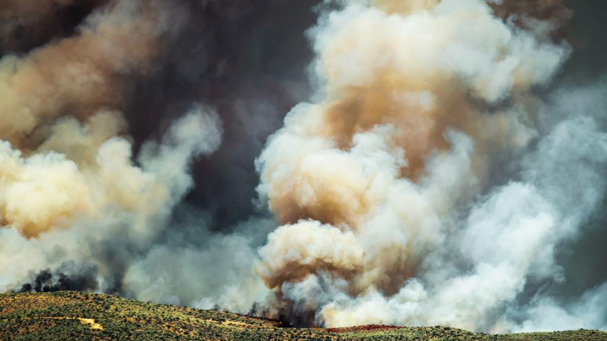 North Rim Fire