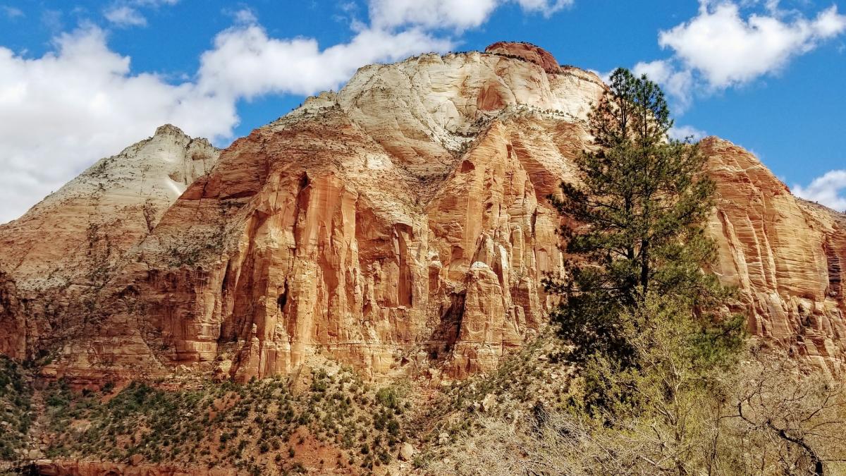 Zion National Park