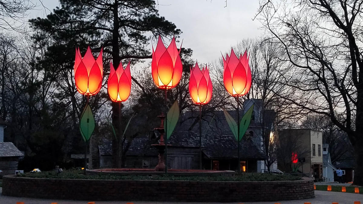 Tulips At Twilight Spring in Topeka, KS, Things to Do