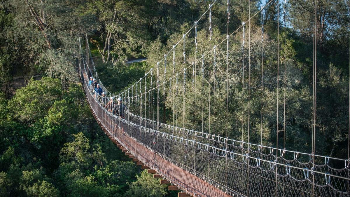 Suspension Bridge