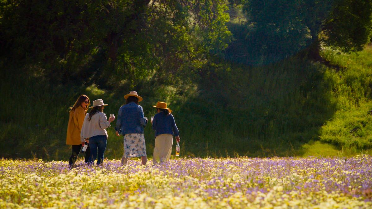 Wildflowers