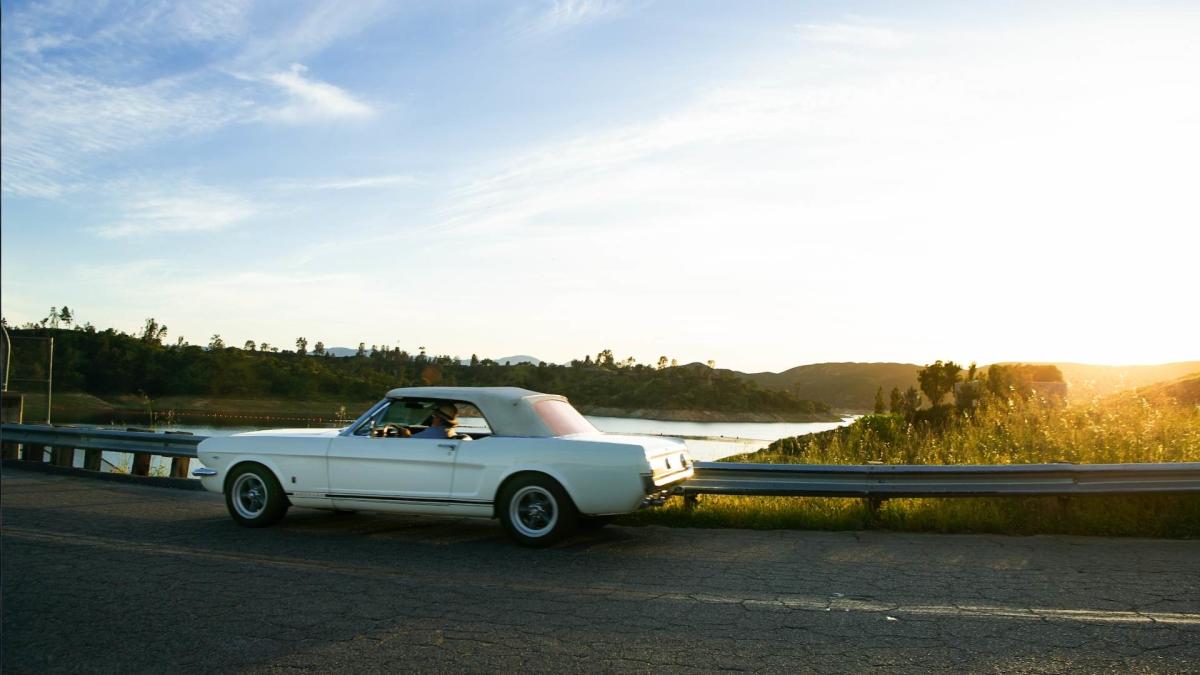 Mustang at Lake Nacimiento