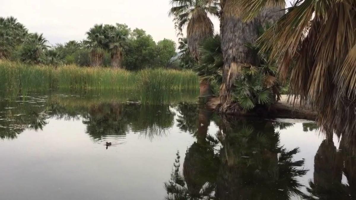 Video Thumbnail - youtube - Agua Caliente: An oasis once more