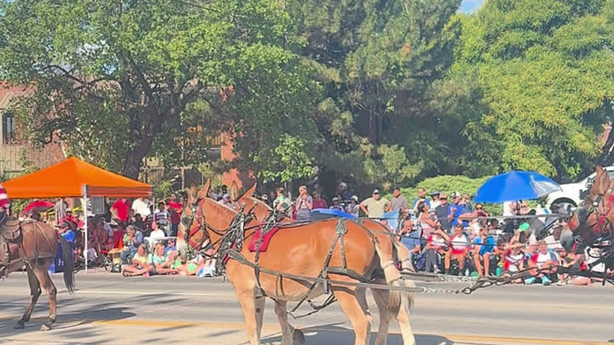 Lehi Parade