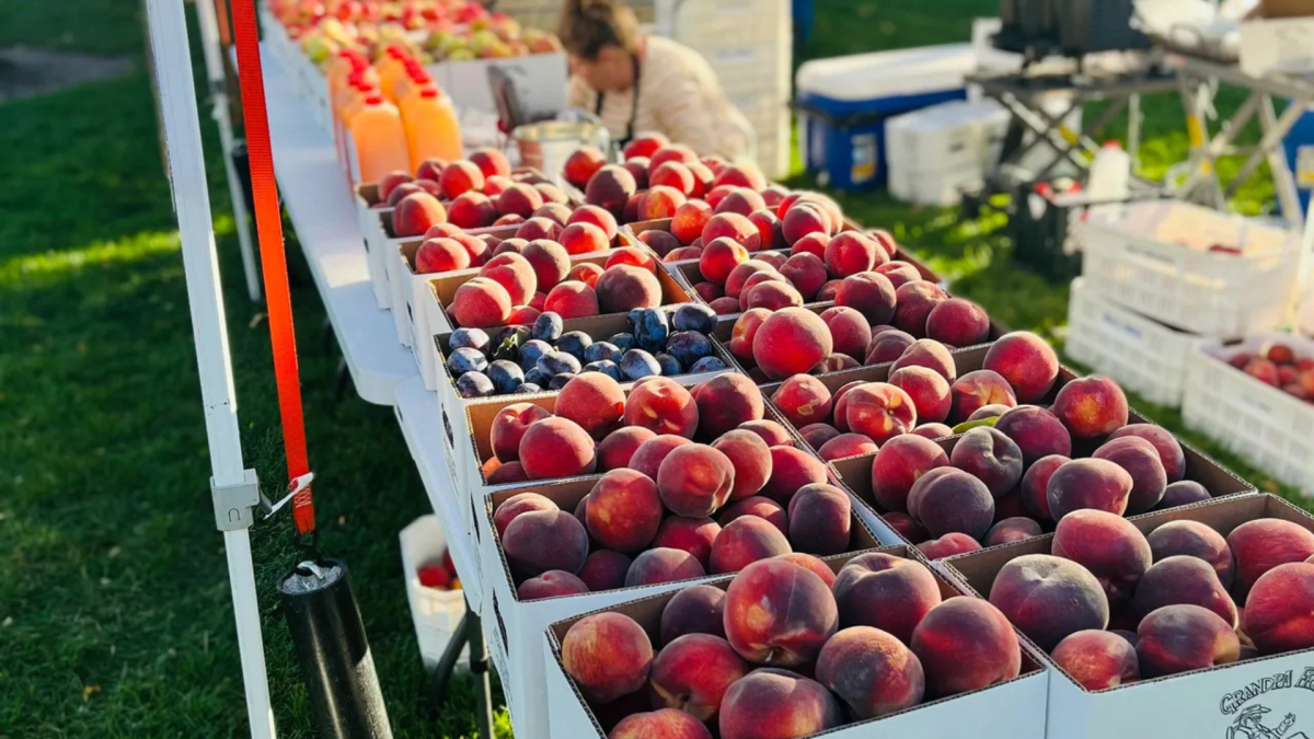 Fresh Fruit