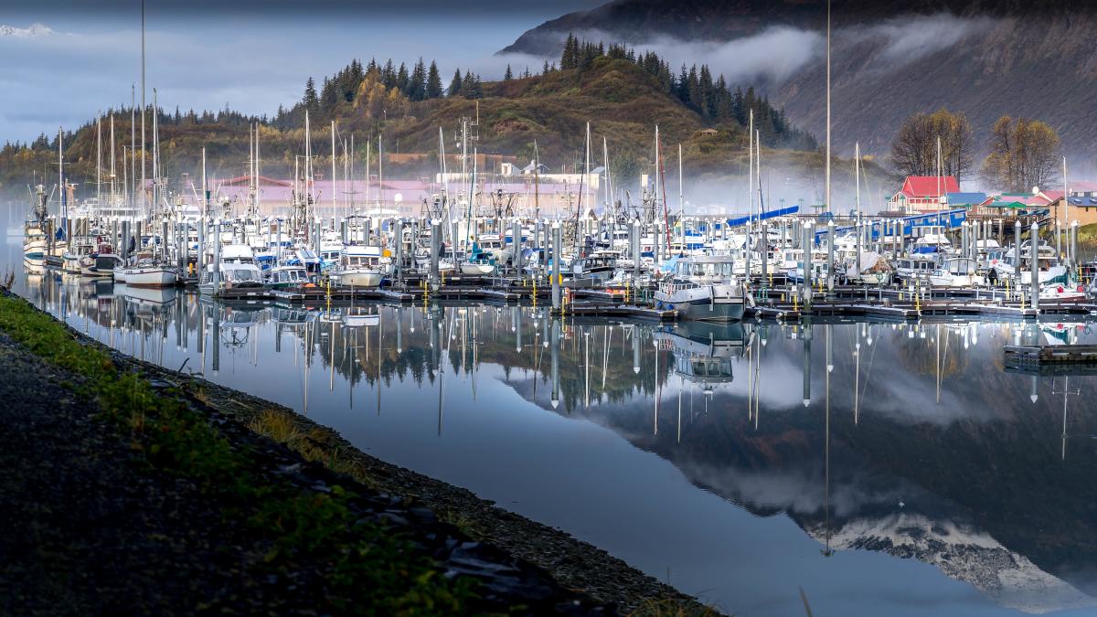 Valdez Port Mist