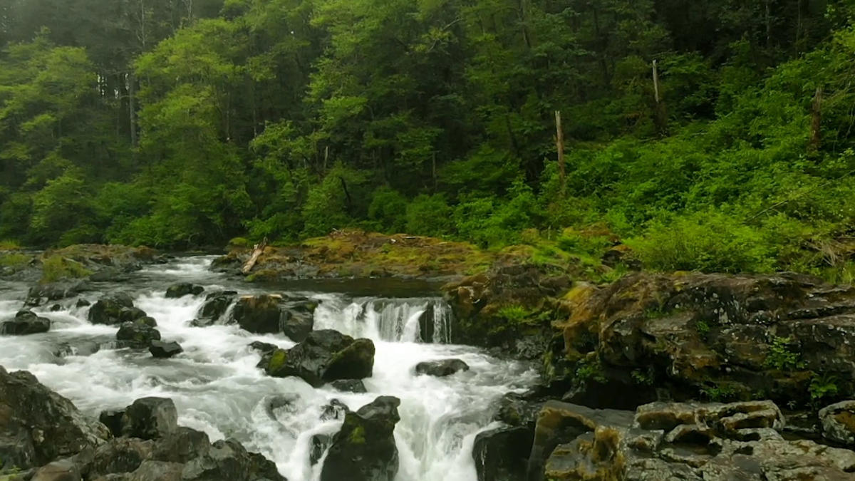 Moulton Falls Regional Park