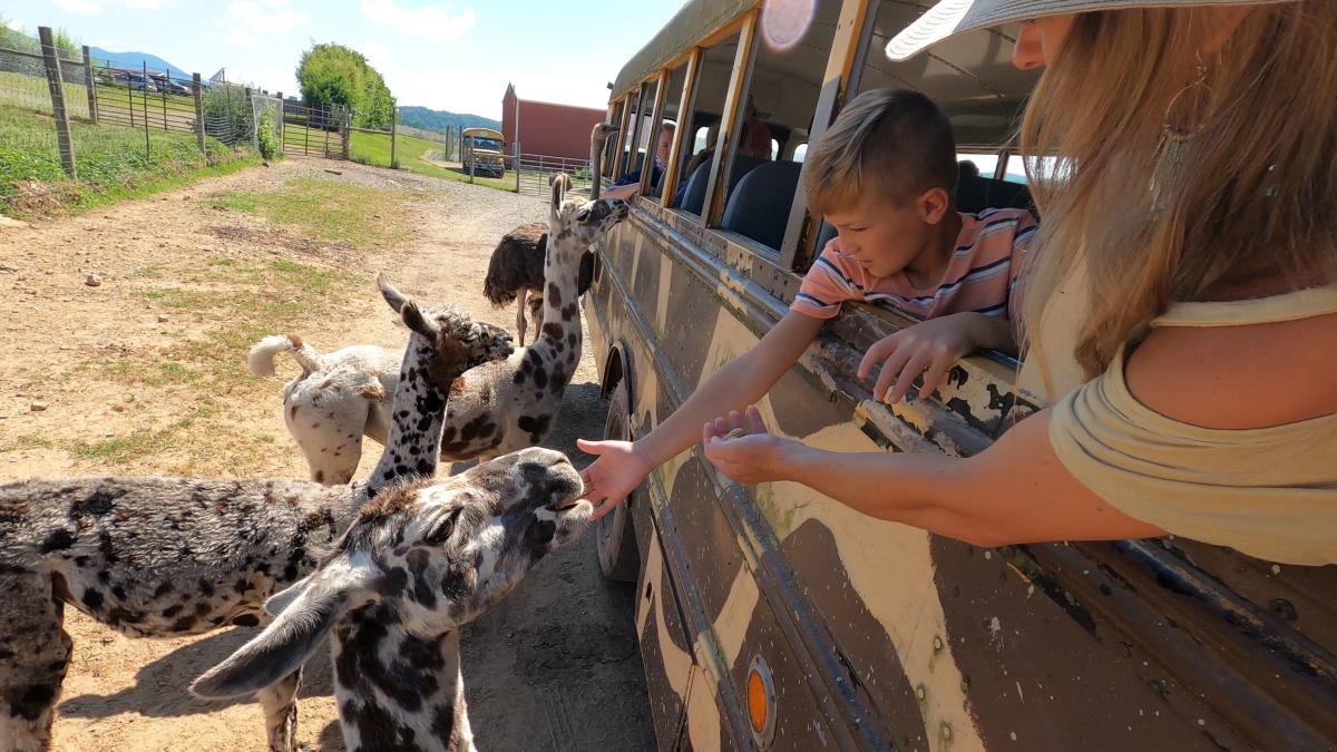 Fort Chiswell Animal Park