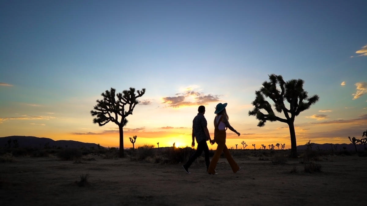 Couple walking among Joshua trees at sunset near Joshua Tree National Park in Twentynine Palms, California.