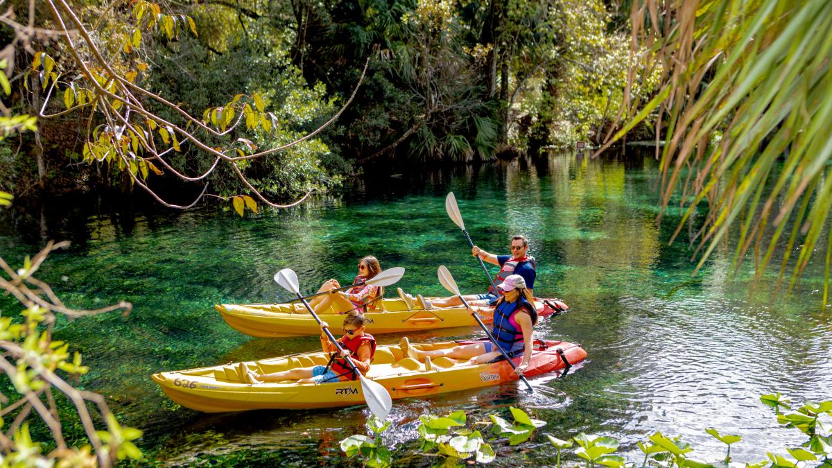 Ocala Silver Springs Kayak