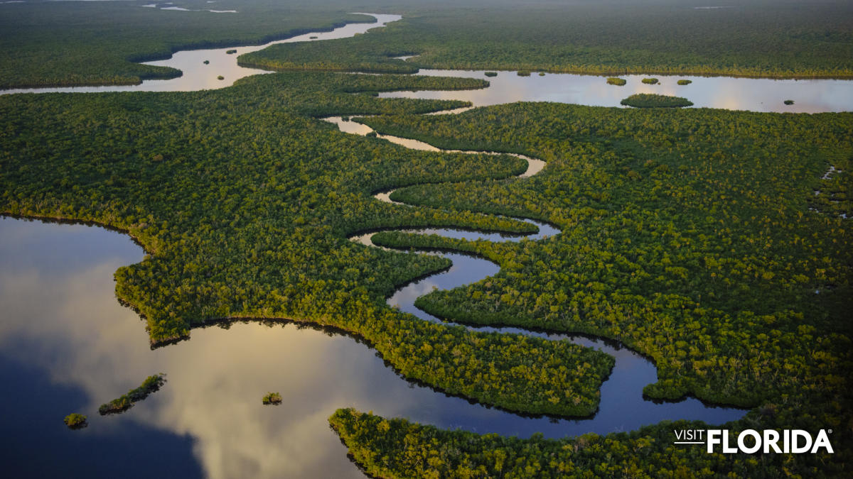 VISITFLORIDA Backgrounds Everglades National Park