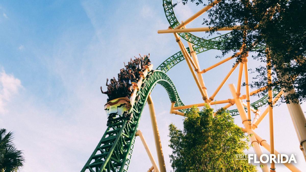Zoom Background - Busch Gardens Tampa Bay