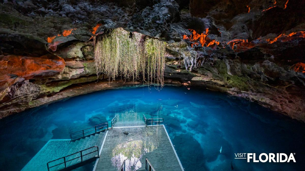Zoom Background - Devil's Den Prehistoric Spring (Williston)