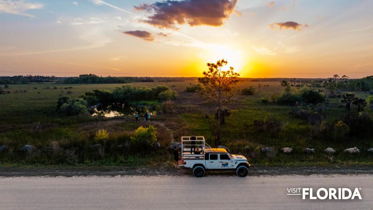 Zoom Background - Everglades National Park