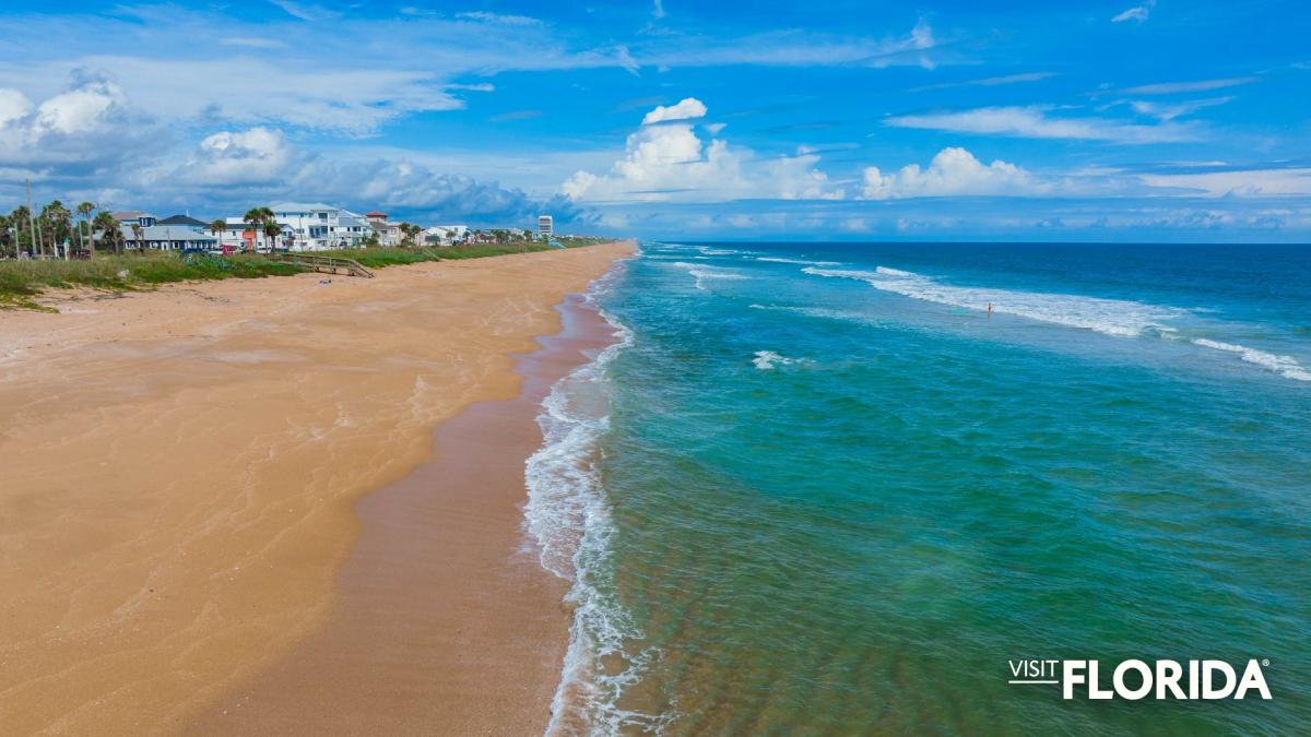 Zoom Background - Flagler Beach