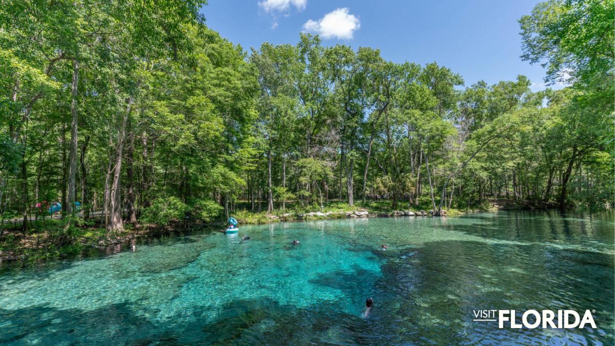 Zoom Background - Ginnie Springs (High Springs)