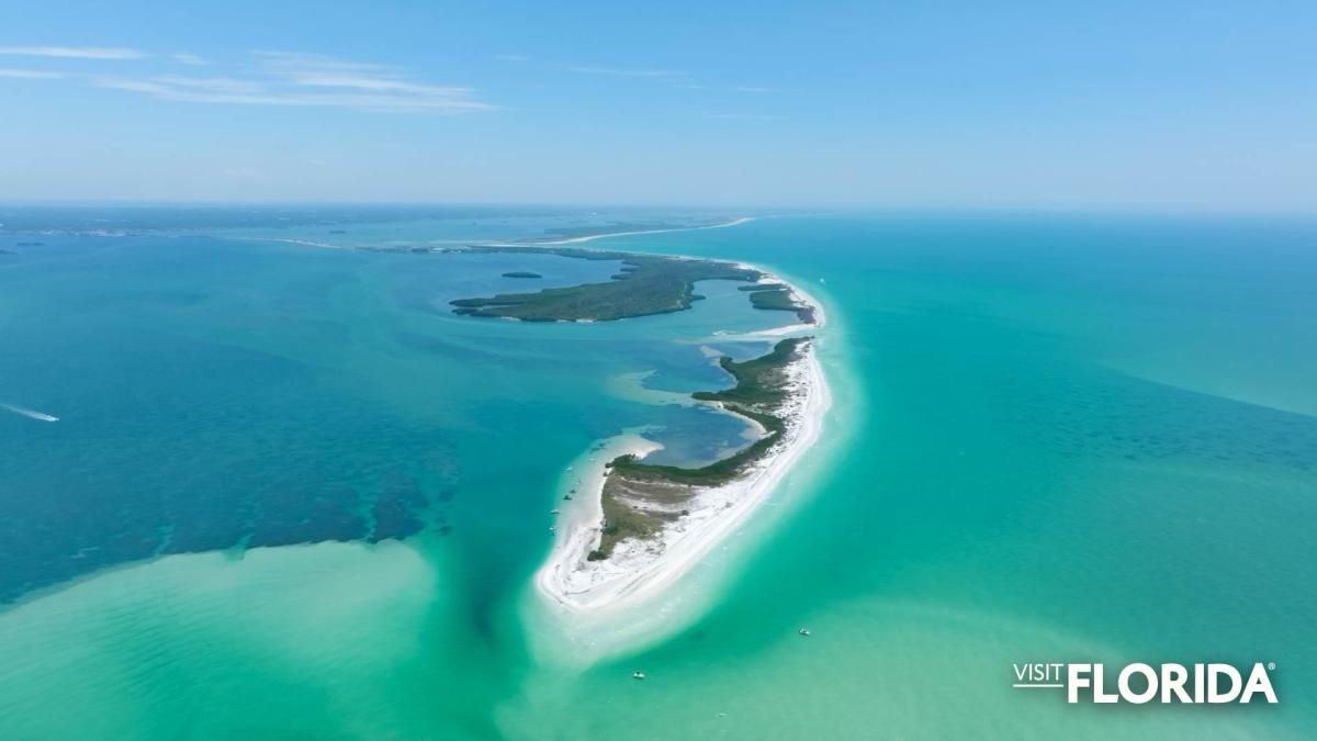 Zoom Background - Honeymoon Island State Park (Dunedin)