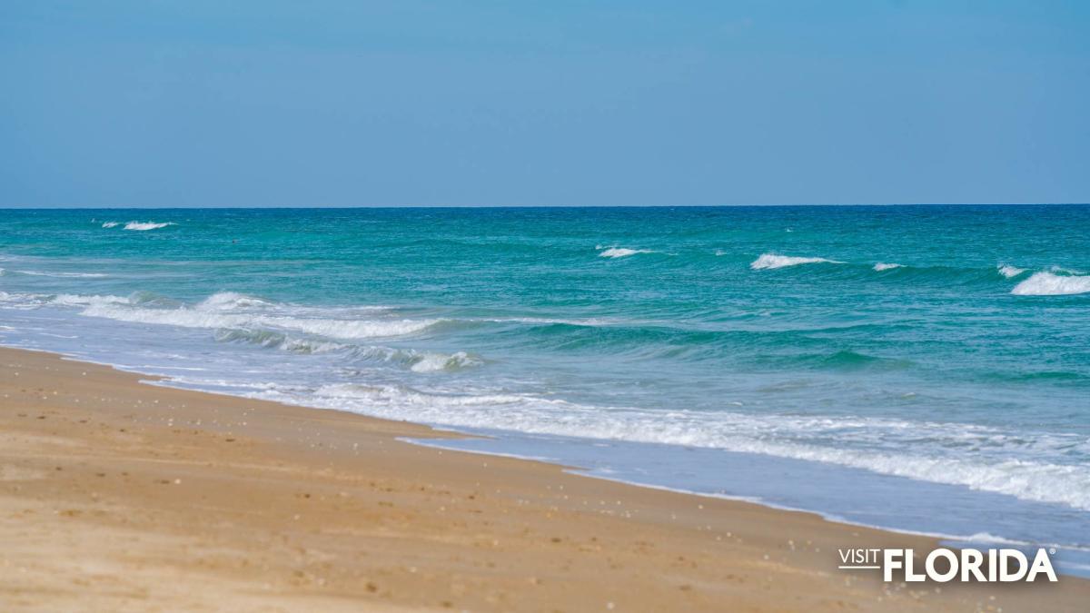 Zoom Background - Jensen Beach