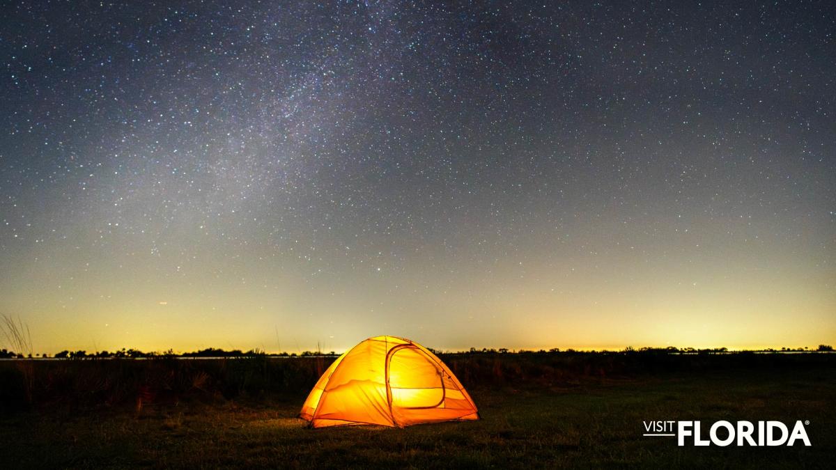 Zoom Background - Kissimmee Prairie Preserve State Park (Okeechobee)