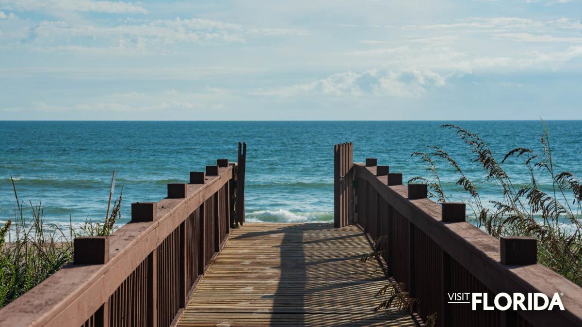 Zoom Background - Palm Coast Beach