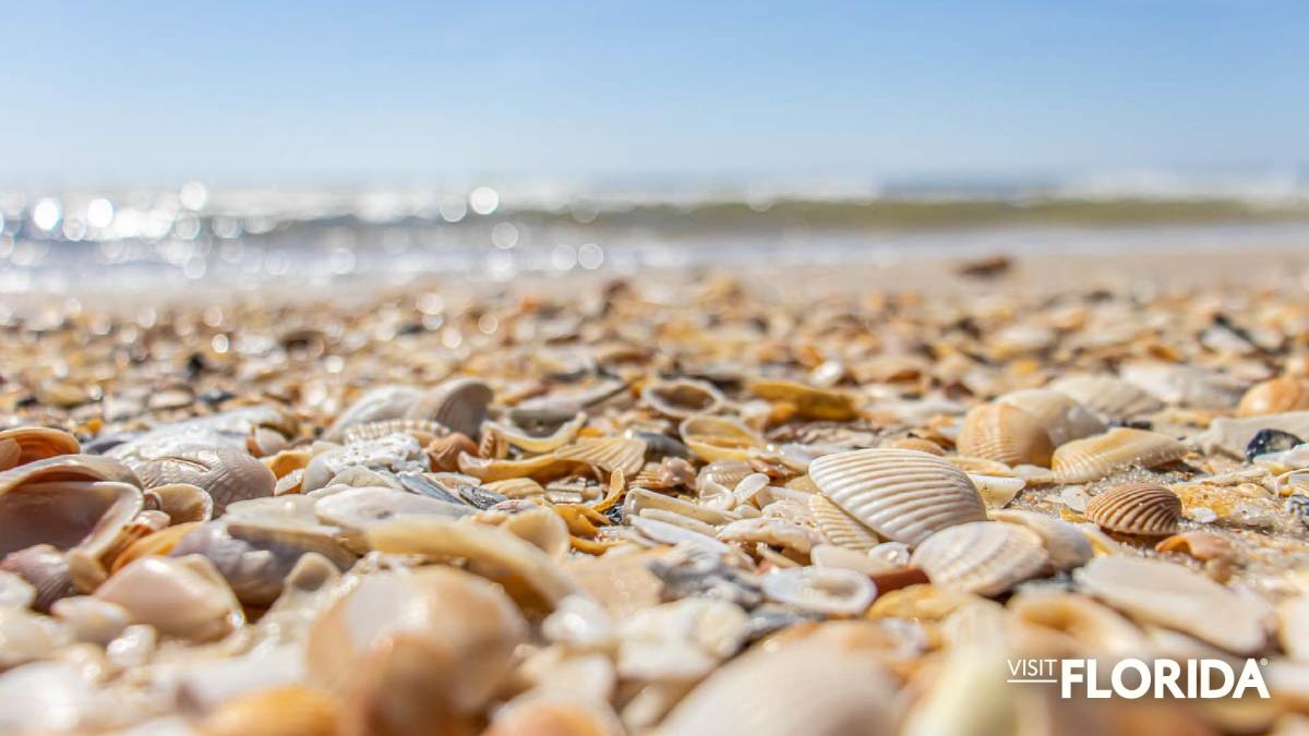Zoom Background - St. George Island