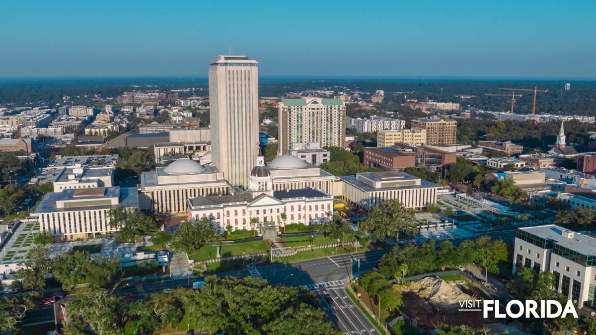 Zoom Background - Tallahassee