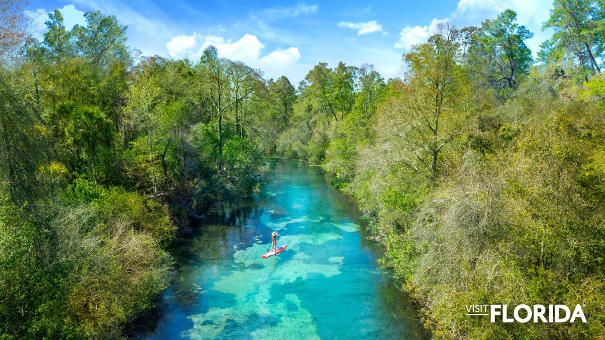 Zoom Background - Weeki Wachee Springs State Park (Spring Hill)