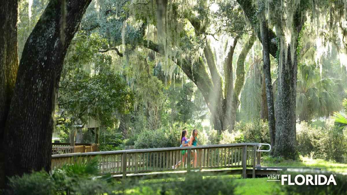 Zoom Background - De Leon Springs