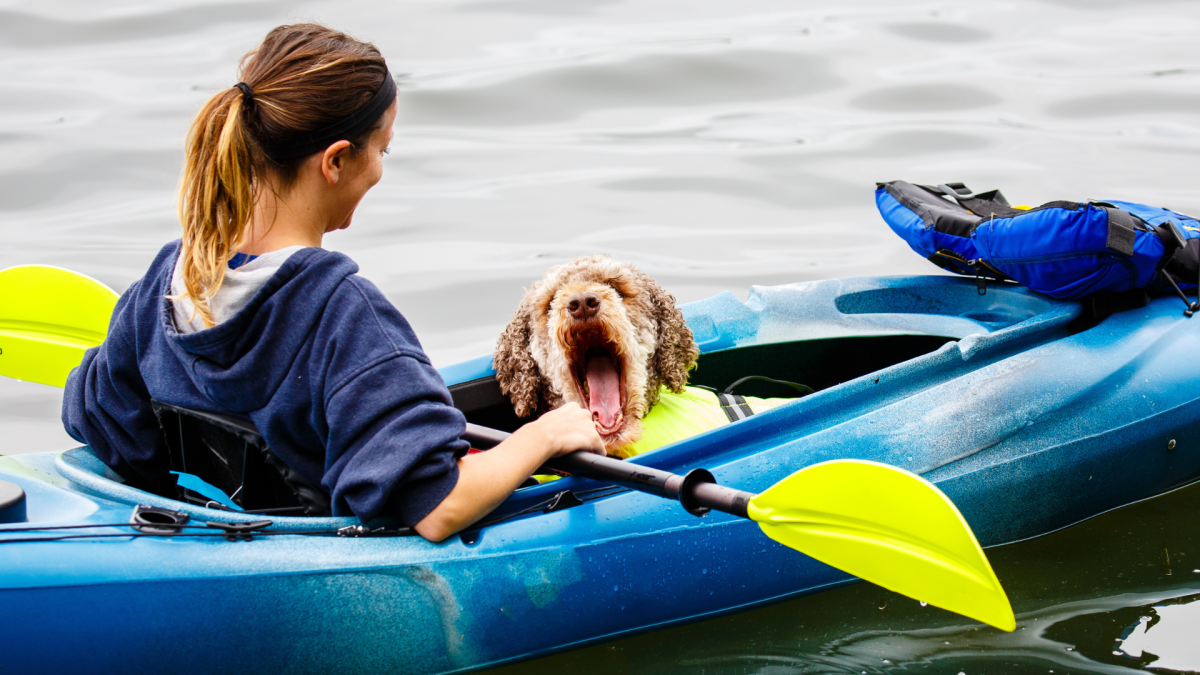 Dog Kayak River