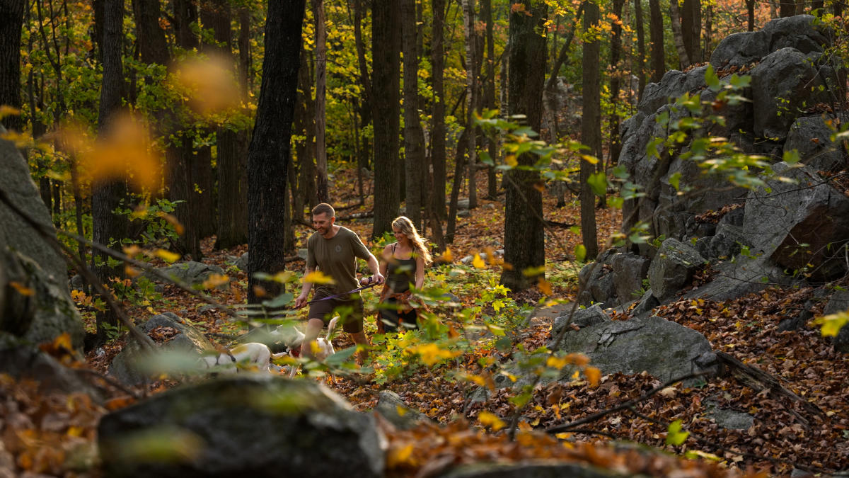FALL HIKE