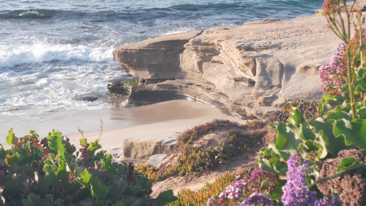 La Jolla Cove